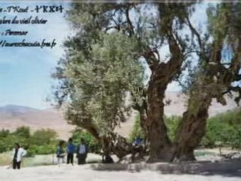 Le calendrier berbere