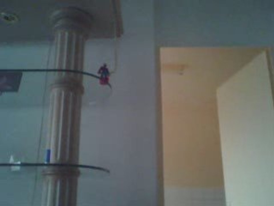 Spider Man