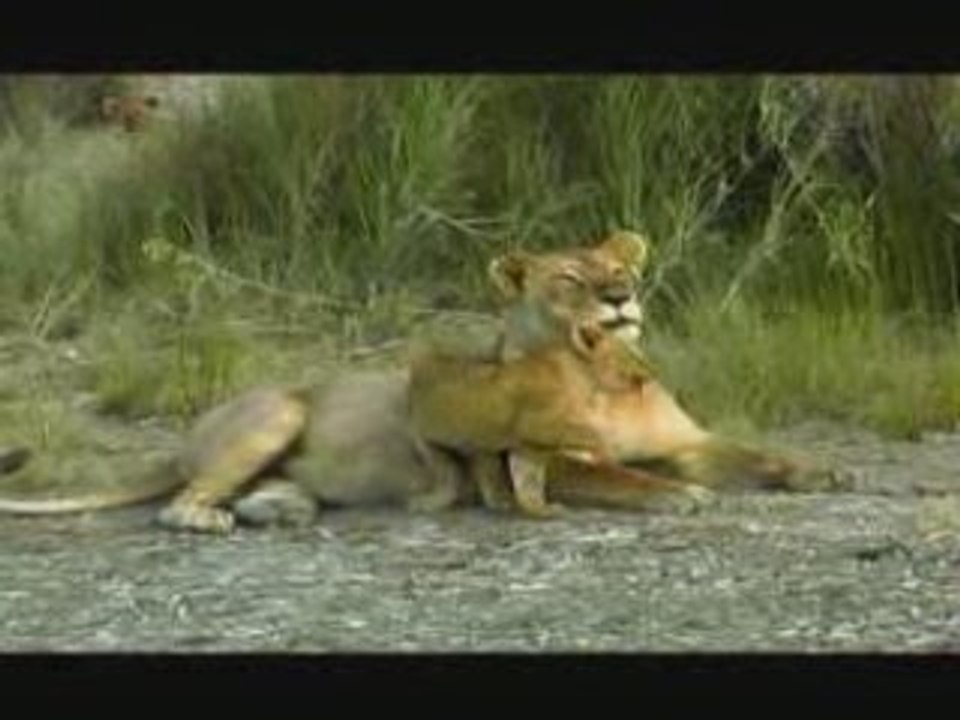 Skinned Alive : Fourrure Torture