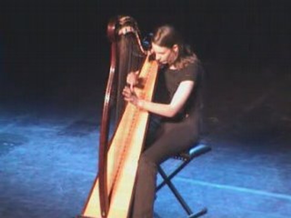 Man in the house et Morisson Jig - harpe celtique