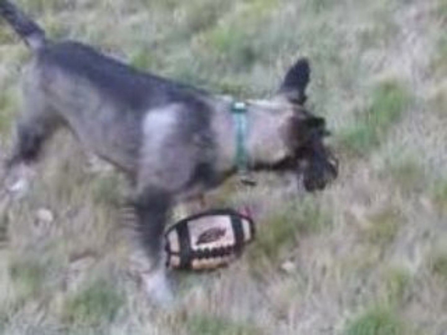 ⁣Aiptek Action HD Test Video