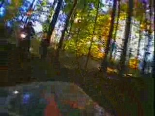 08 Baby Burr AMA DualSport Offroad Dirtbike Race by Datatoys