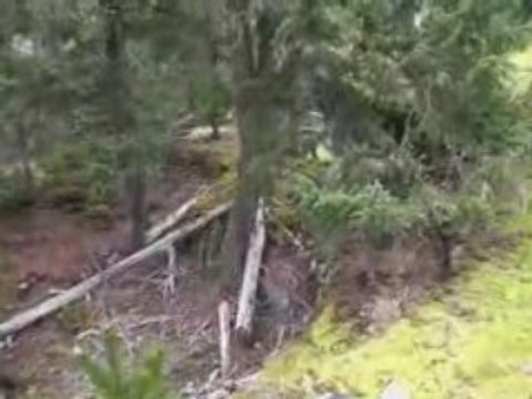 {Whistler Real Estate} #302 Whistler Village Inn & Suites