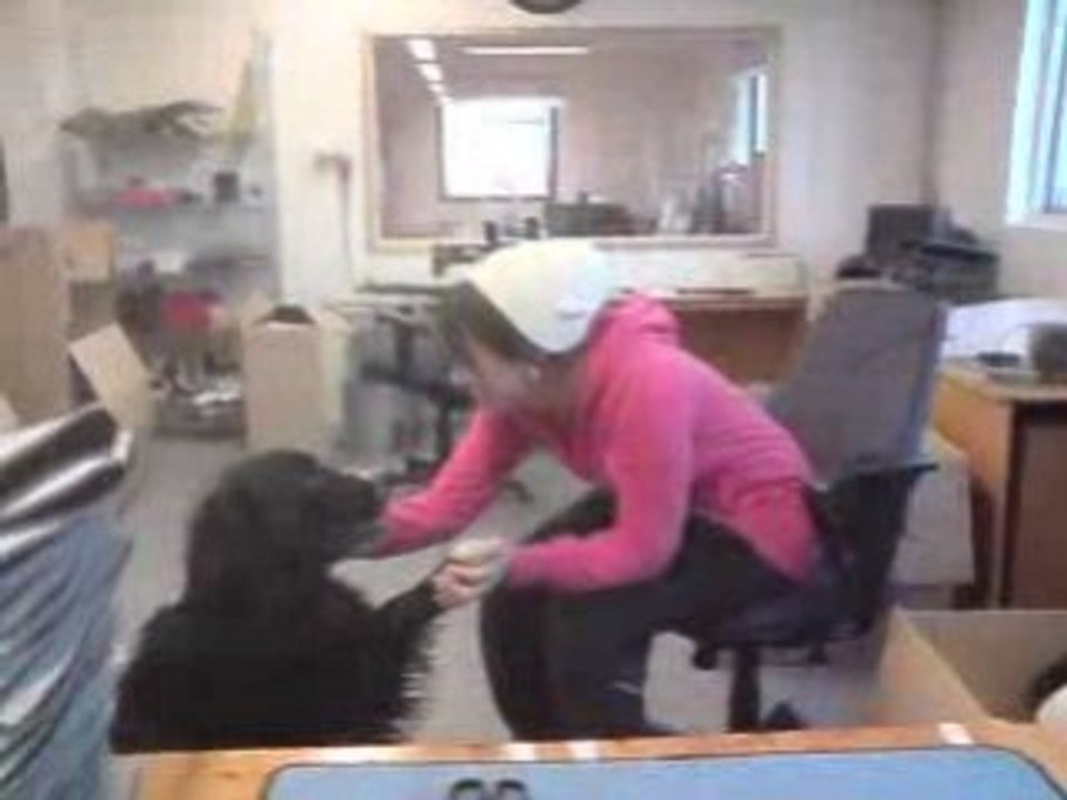 Give me five, Casper!