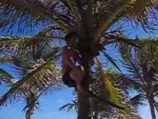 PJ & KK Thierry Henry rencontre un homme des cocotiers