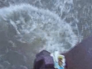 Pitbull saut 5m barage