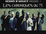 Sexion dassault - t'es le seul a rien foutre  2009