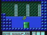 Frogsuit Mario Bros. Frog Frog Frog (World 3)