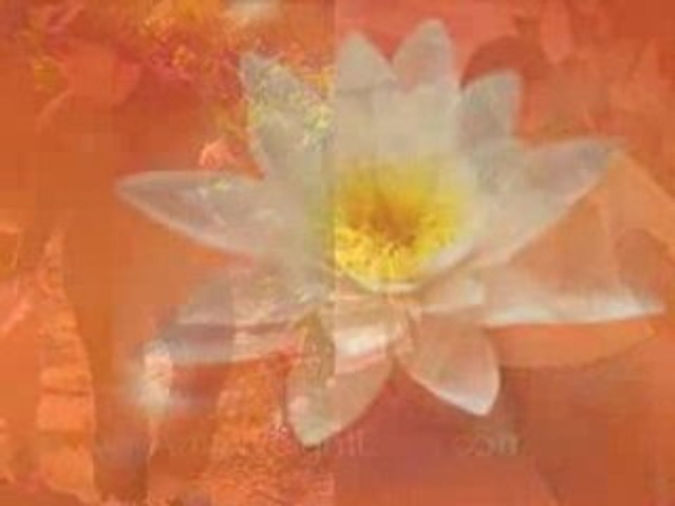 Where Can I Find Acai? I paid $5 and lost weight fast!