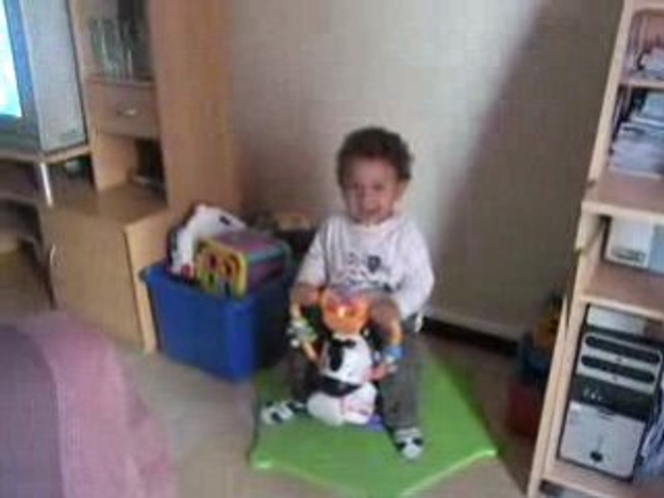 zèbre tourni-rebond et Noa