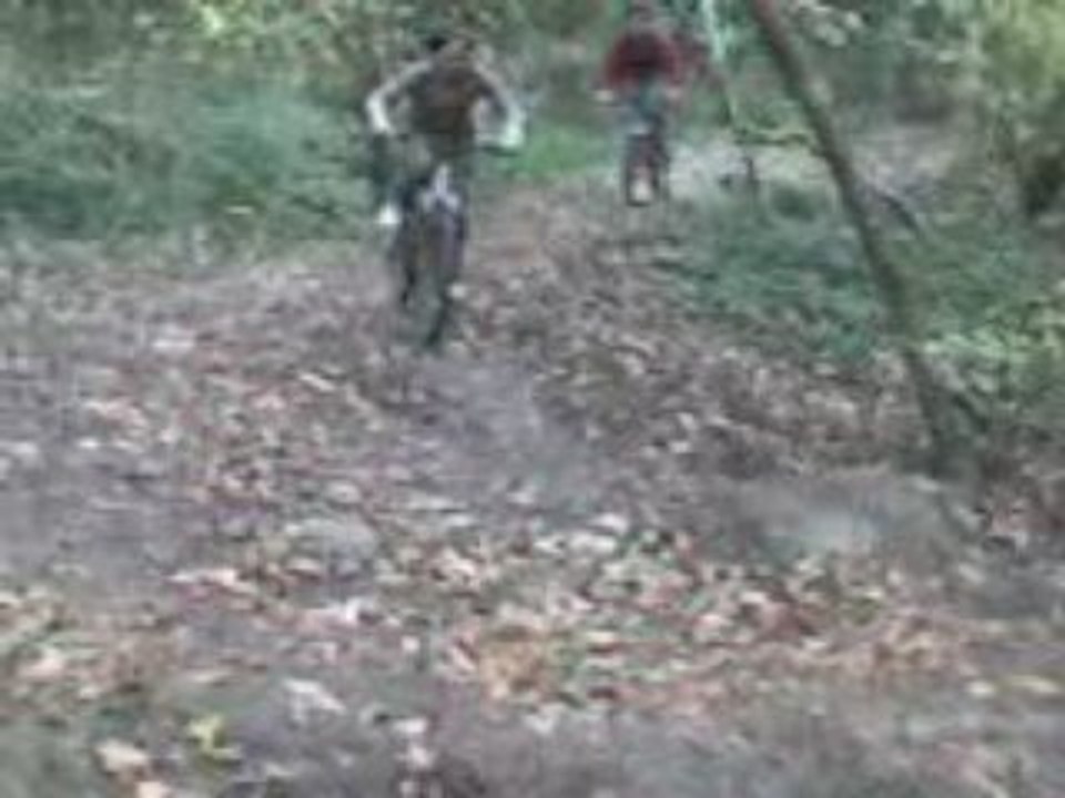 MOV00016