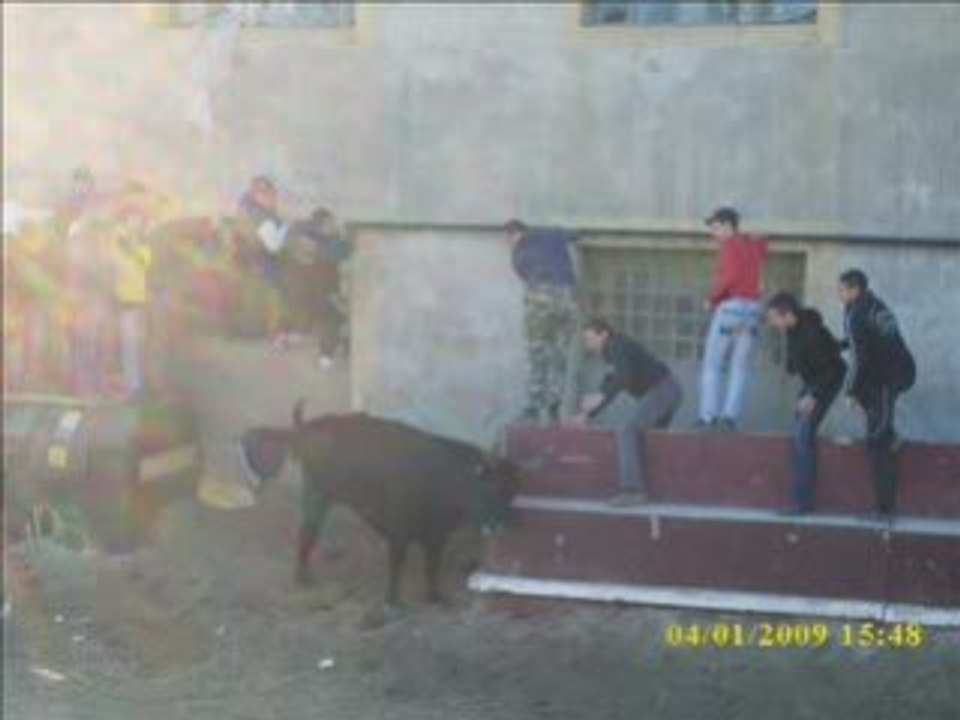 encierro d'hiver a guallargues le mtx manades gire et robert