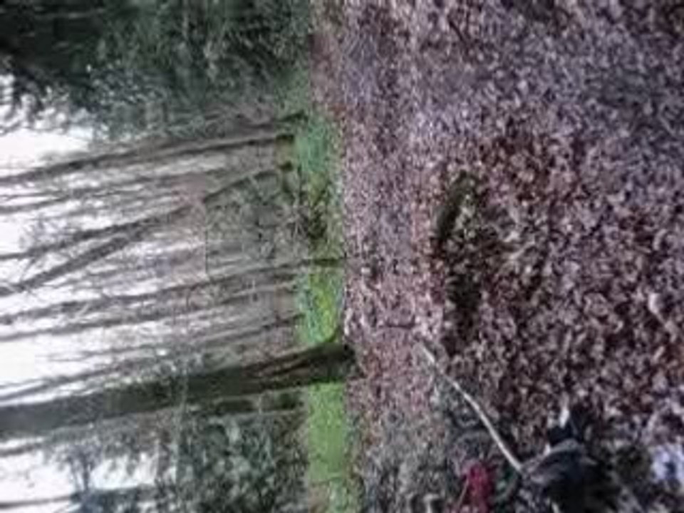 vtt