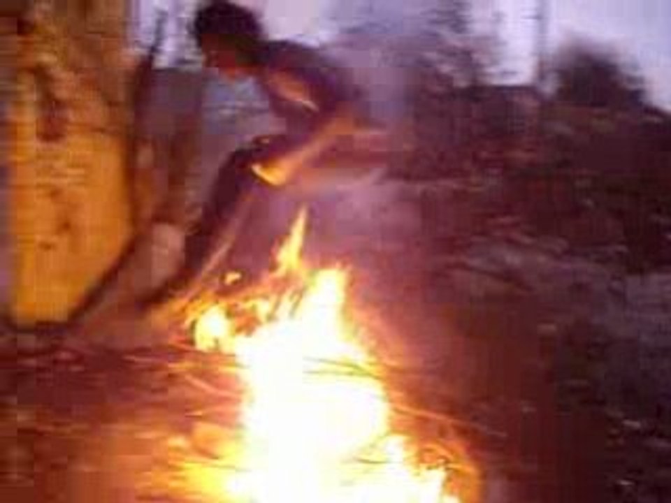 Feu grou