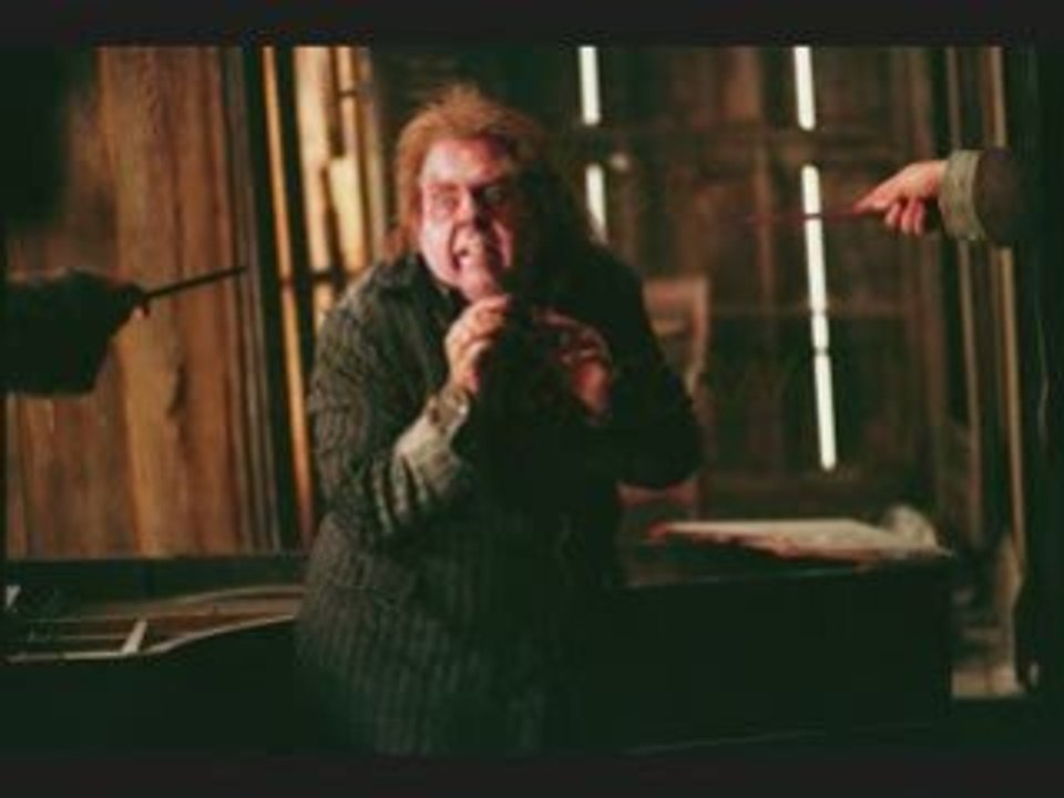 Harry potter les relique de la mort les mort
