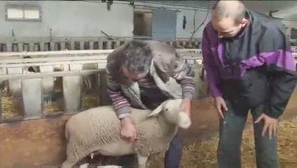 Generique "Affaires de familles" Doc France 3 14/1/2009