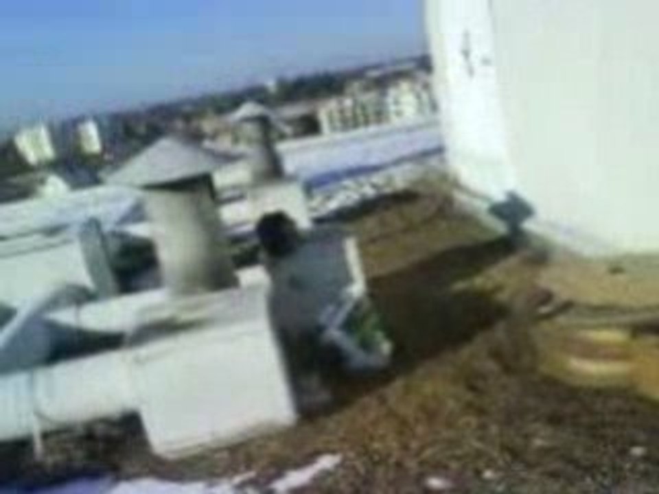Gravé dans la neige