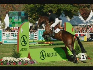 Mondial du Lion 2008