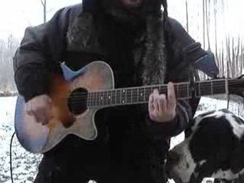 Comment font les pingouins?