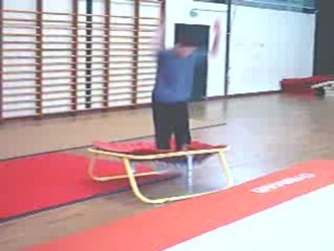 Salto avant avec vrille à 180°