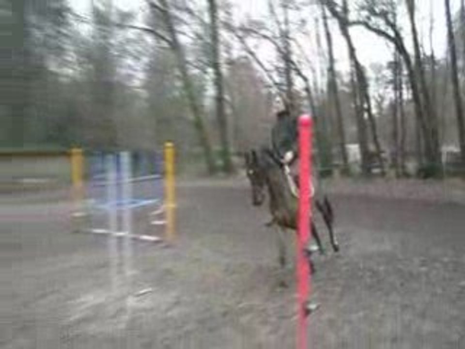 Qeazy plat galop