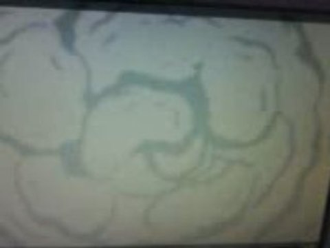 La machiine devrais sucer quelque pastilles