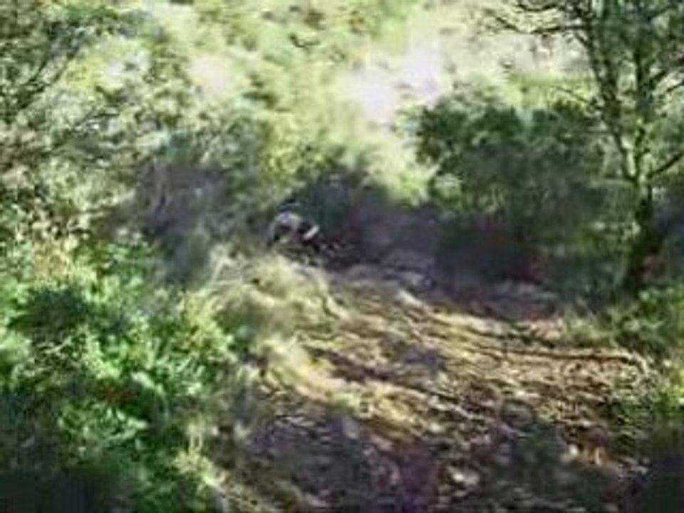 Vtt compile2 tib