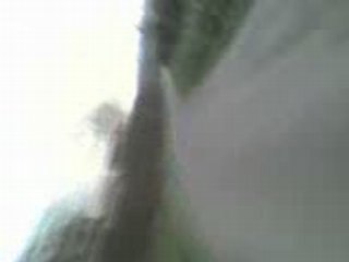 rooller Vec elle (saiinte mariie)