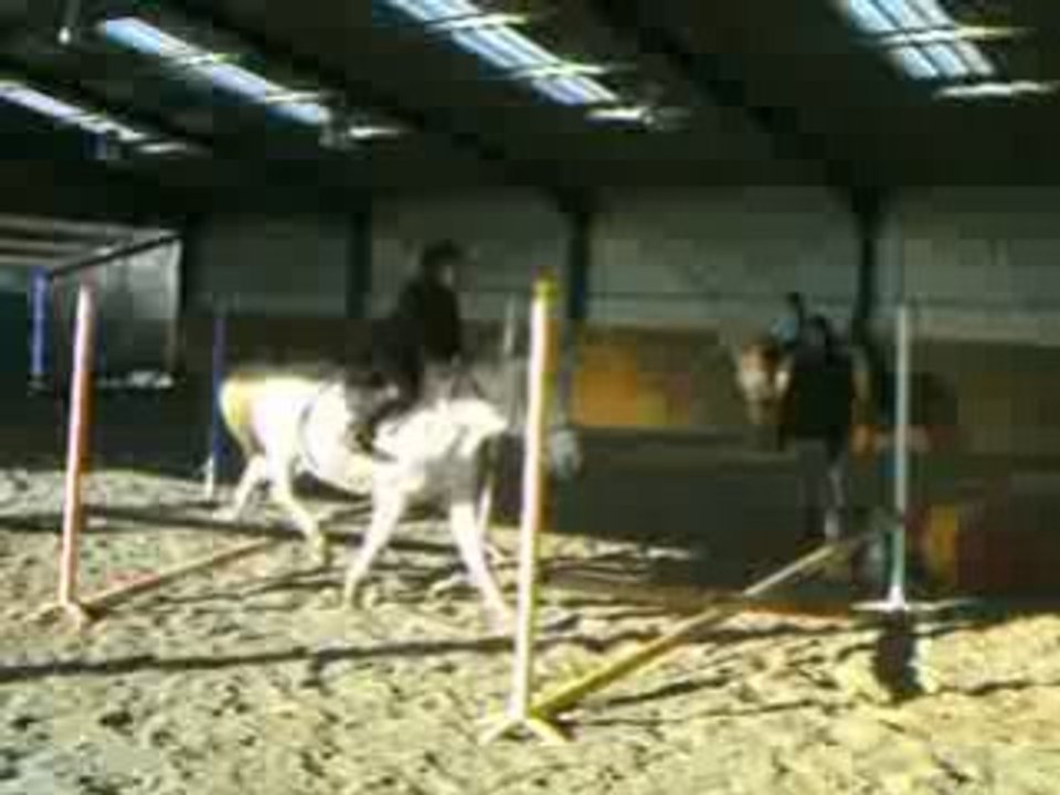 PICT0017
