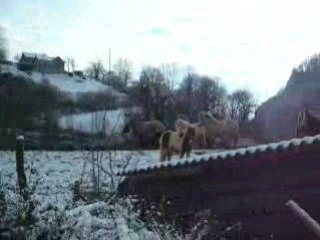 notre arrivée à Sarrance