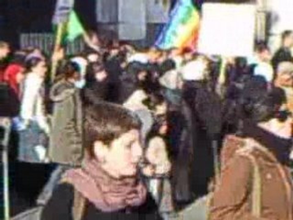 Manif palestine a nimes