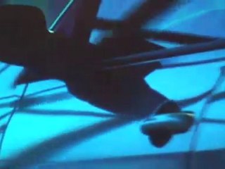 Renault Megane sport