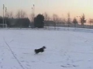 un peu d'obérythmée dans la neige