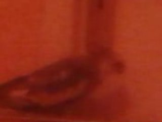 calypso fait ces vocalises