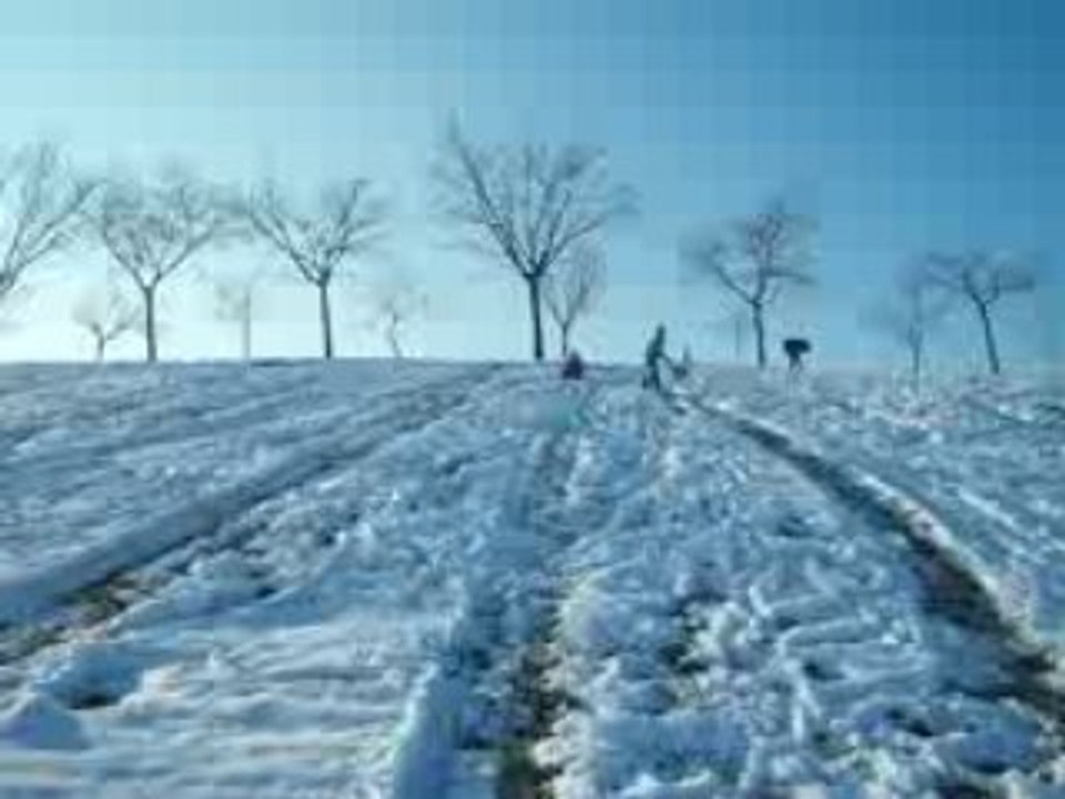 Pista de luge