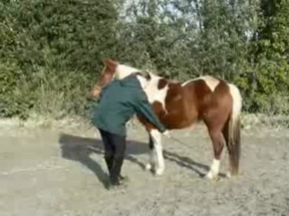 Desensibilisation stick 10 01 09