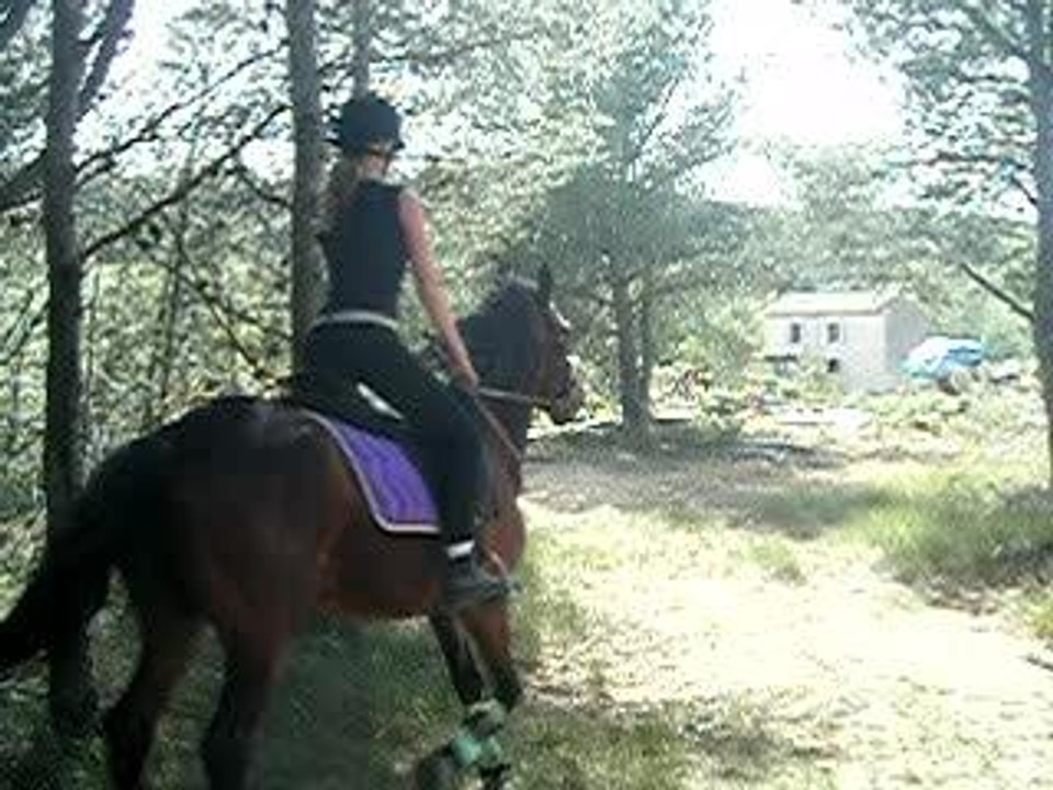 timor et moi