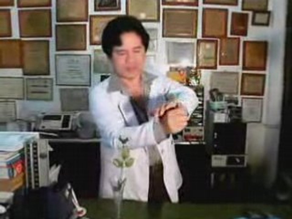 SILK TO ROSE by Dr. Gertes