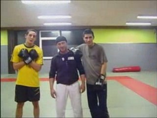 Dealer2son: Authentic Local Offerings