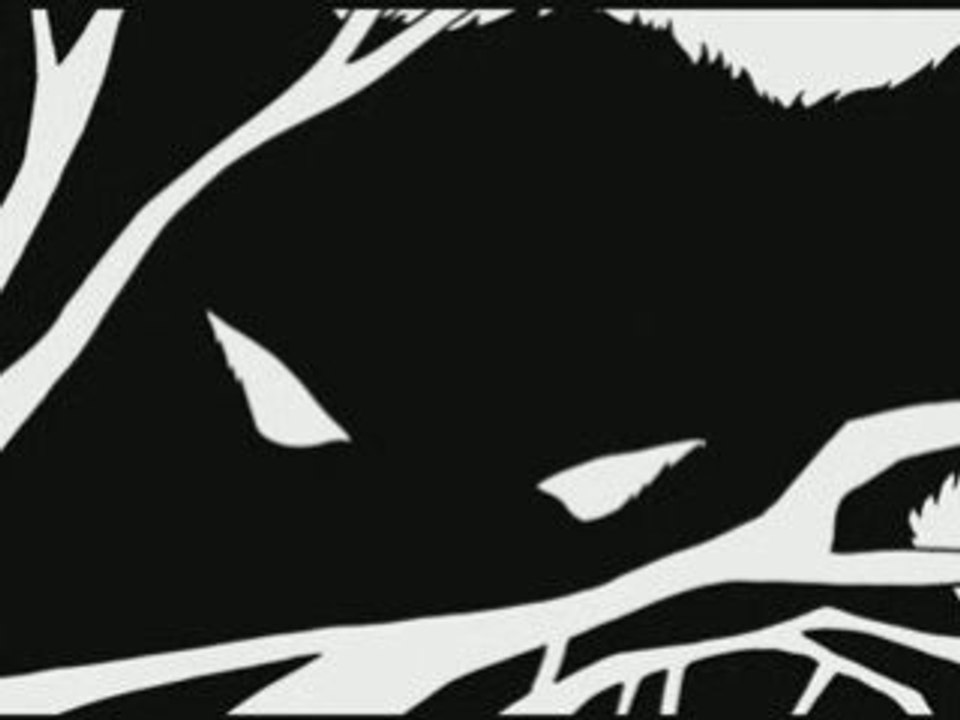 Loup Noir