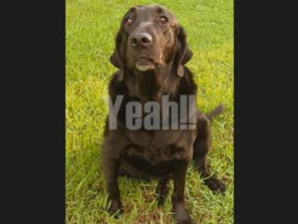 Promote with Teleseminars with Kathleen Gage