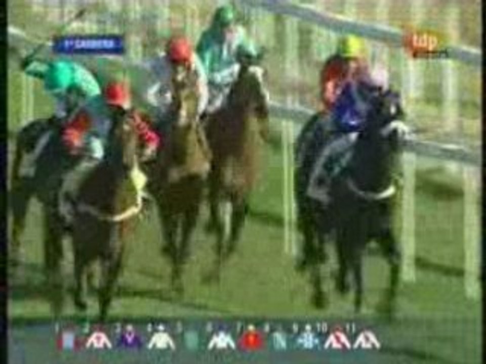 2009 (6) Premio E-Quiniela (AMBASADOR)