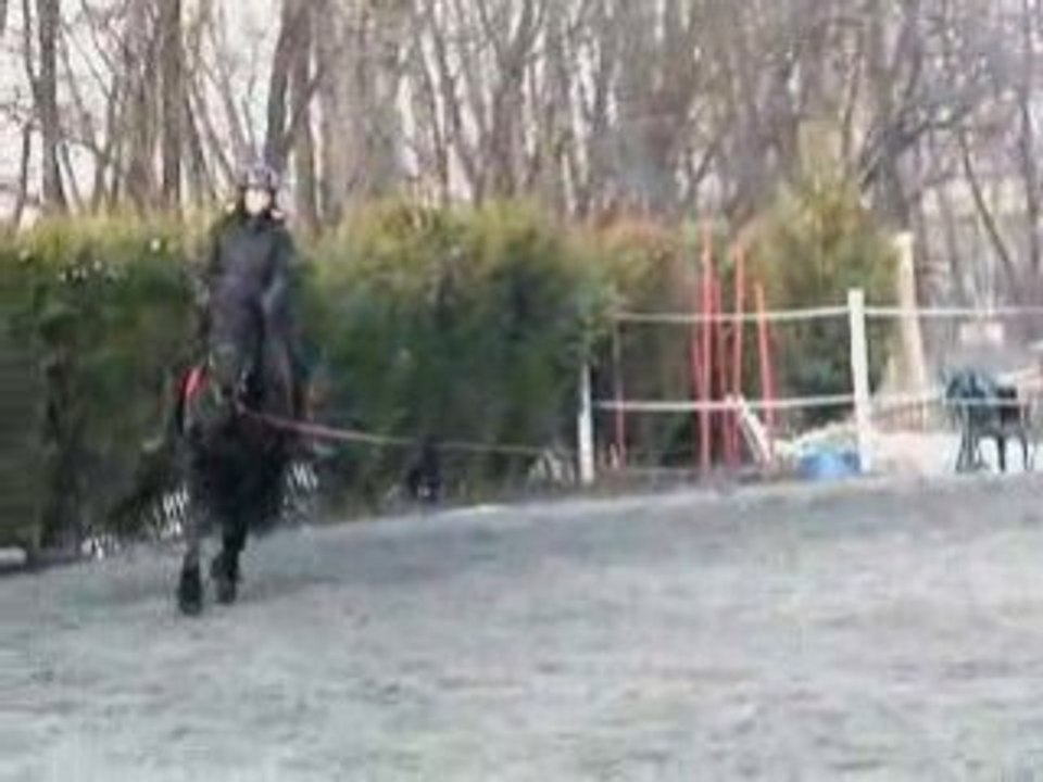 Micky au  boulot janvier 2009