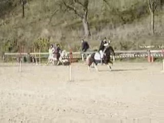 2 tasses marion & pimousse