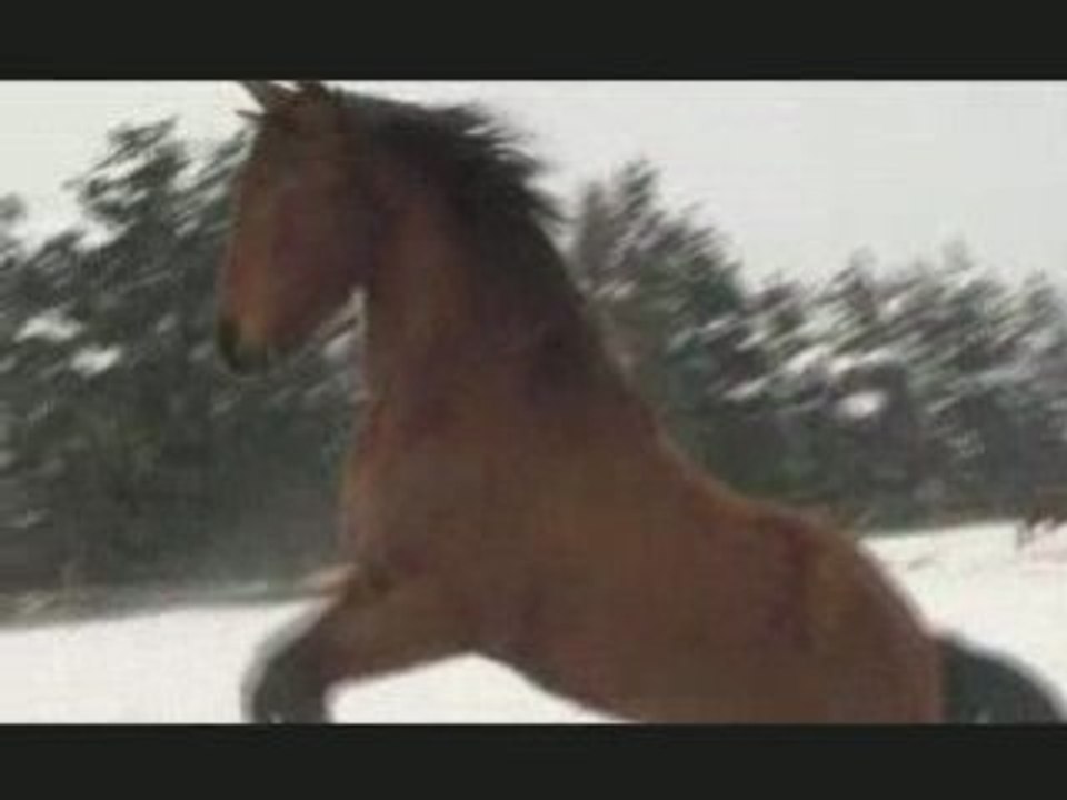 Fundador dans la Neige
