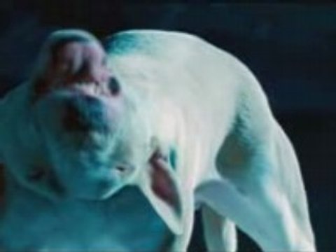 Mirrors - TV Spot Life