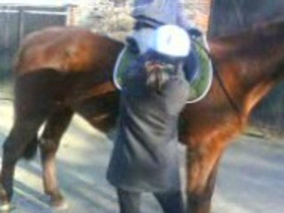 Moi En Sac A Patate Sur Ridelle