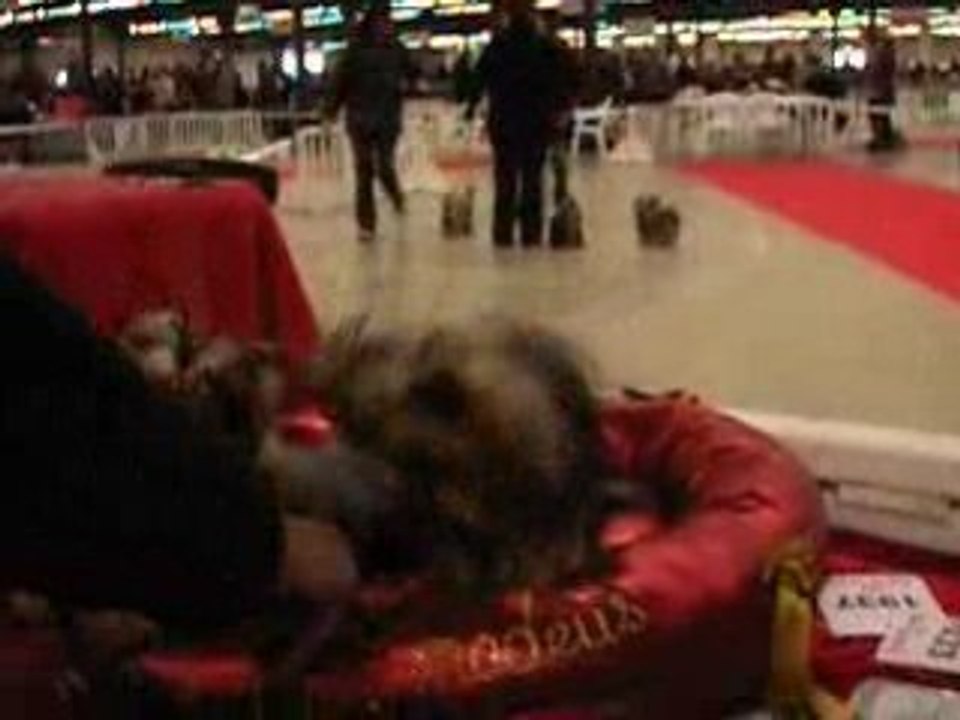 Vincennes 2009 039