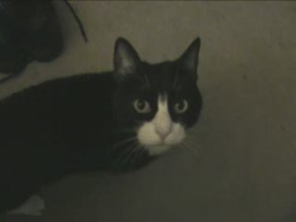 Greta Sends Her Love