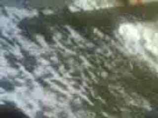 Weiler qui bouffe un gros glacon xD